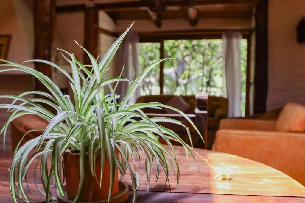 The Cabin Lodging キト アパート